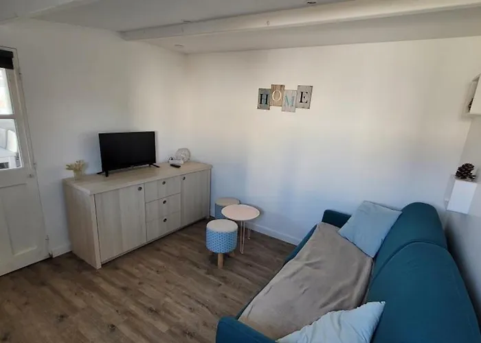 Maisonnette Renovee, Animaux Admis, Parking, 4 Pers - - Fr-1-540-231 Notre-Dame-de-Monts